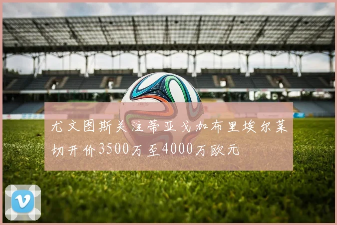 尤文图斯关注蒂亚戈加布里埃尔莱切开价3500万至4000万欧元